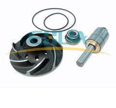 IVECO - FIAT Truck water pump